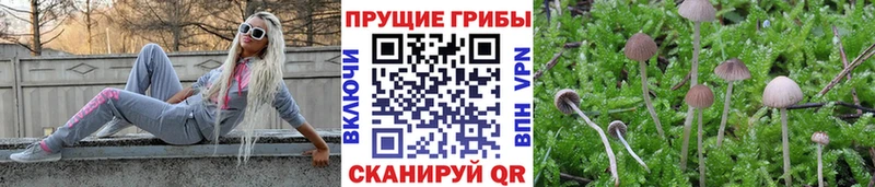 продажа наркотиков  Камешково  Галлюциногенные грибы мухоморы 